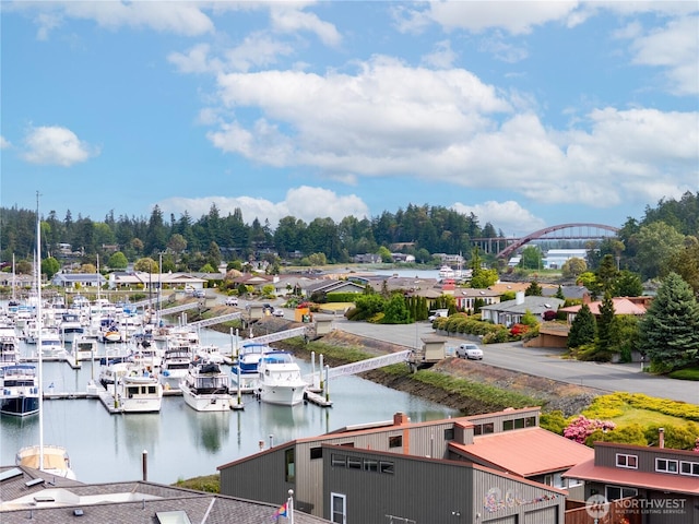 water view featuring a notable bridge