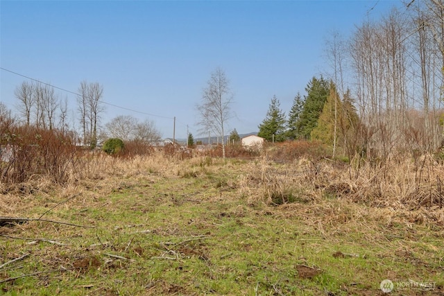 0XX E Cowlitz St, South Bend, WA 98045