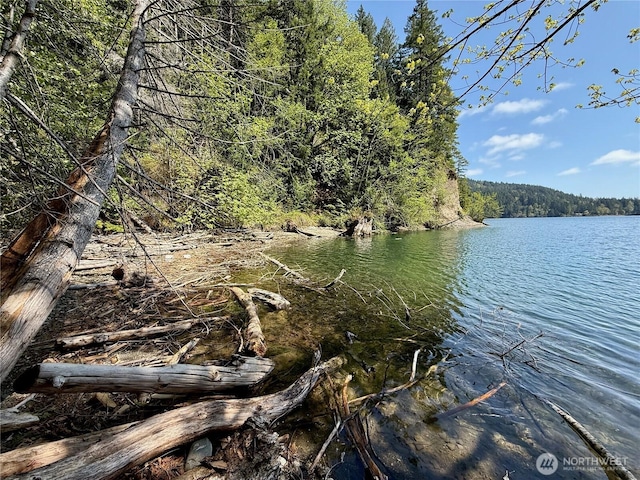 650 W Cushman Ridge Dr, Hoodsport, WA 98548 - photo 3