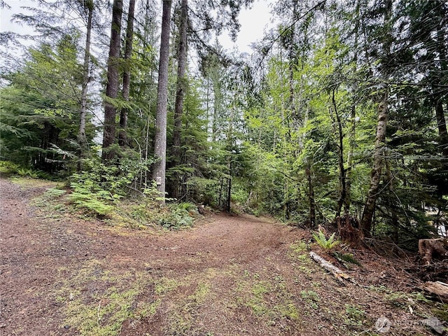 650 W Cushman Ridge Dr, Hoodsport, WA 98548 - photo 6