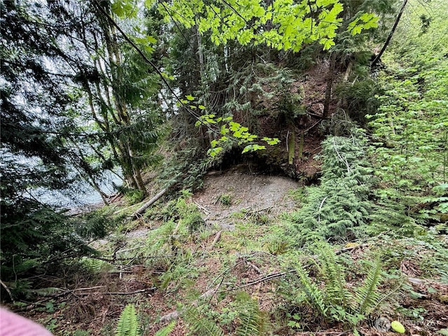 650 W Cushman Ridge Dr, Hoodsport, WA 98548 - photo 10