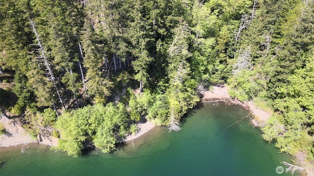 650 W Cushman Ridge Dr, Hoodsport, WA 98548 - photo 2