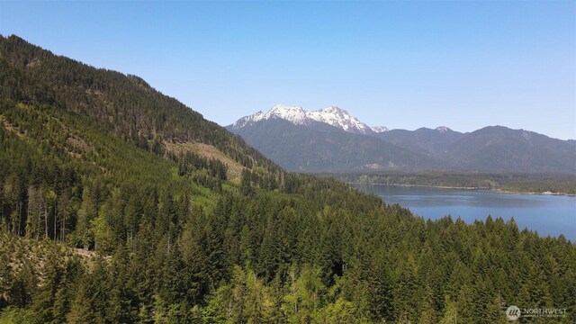 650 W Cushman Ridge Dr, Hoodsport, WA 98548 - photo 18