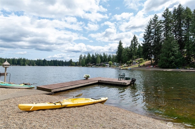 130 E Way To Tipperary St, Shelton, WA 98584 - dock with a water view and a wooded view