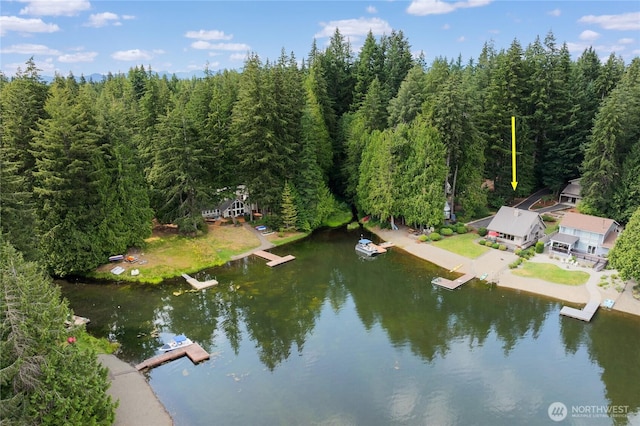 130 E Way To Tipperary St, Shelton, WA 98584 - drone / aerial view of a nearby body of water and a heavily wooded area