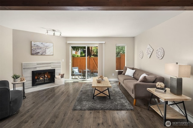 12024 101st Ave NE Unit E3, Kirkland, WA 98034 - living area with wood finished floors and a warm lit fireplace