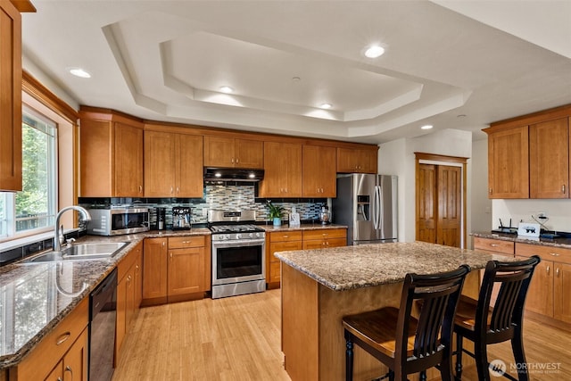 30830 NE 165th St, Duvall, WA 98019 - kitchen with stainless steel appliances, under cabinet range hood, a sink, a tray ceiling, and brown cabinetry