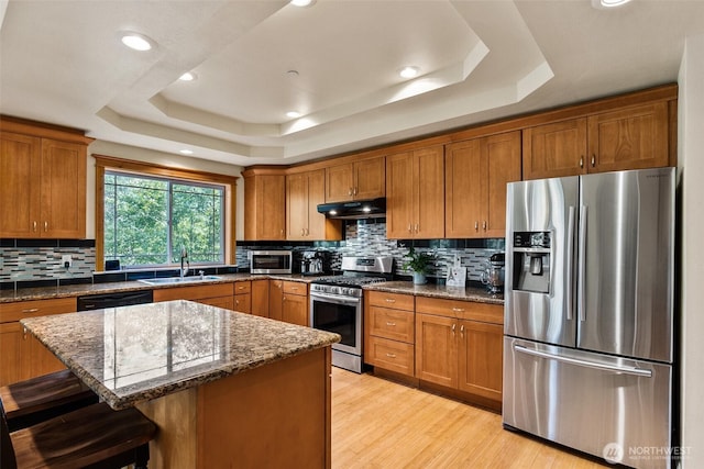 30830 NE 165th St, Duvall, WA 98019 - kitchen featuring appliances with stainless steel finishes, a sink, a tray ceiling, brown cabinets, and recessed lighting