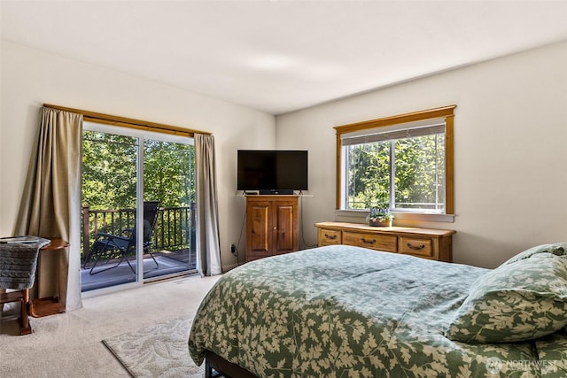 30830 NE 165th St, Duvall, WA 98019 - bedroom featuring carpet, access to exterior, and multiple windows