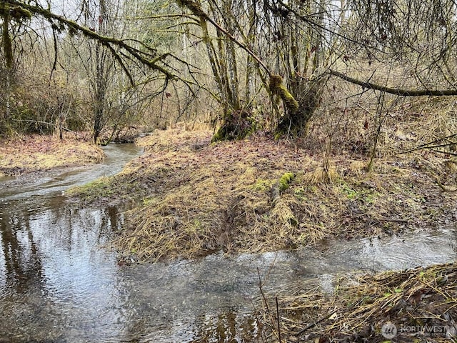 30830 NE 165th St, Duvall, WA 98019 - view of local wilderness