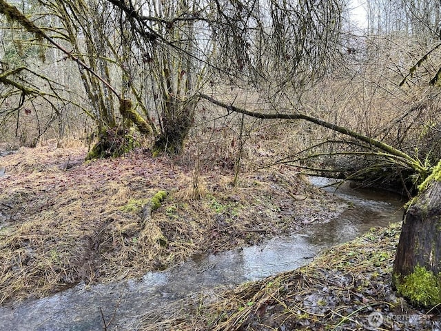 30830 NE 165th St, Duvall, WA 98019 - view of nature