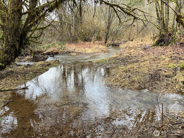 30830 NE 165th St, Duvall, WA 98019 - water view
