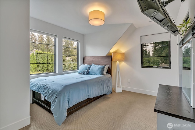 29108 218th Pl SE, Black Diamond, WA 98010 - carpeted bedroom with baseboards and multiple windows