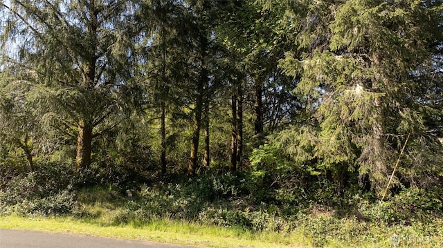 893 Albion Ave SE, Ocean Shores, WA 98569