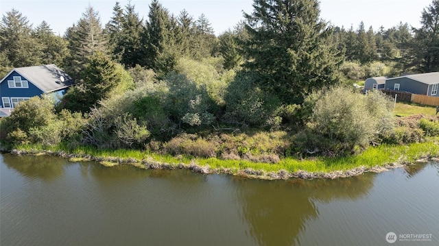 893 Albion Ave SE, Ocean Shores, WA 98569
