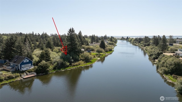 893 Albion Ave SE, Ocean Shores, WA 98569
