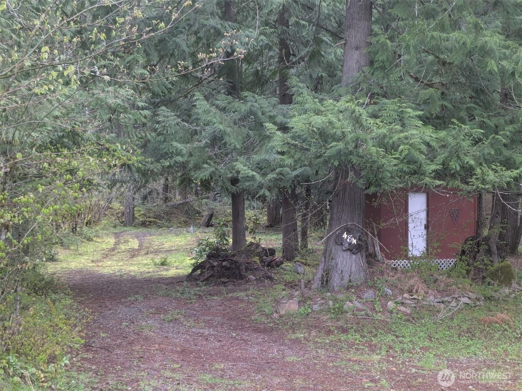 484 Cannon Rd, Packwood, WA 98361 - photo 2