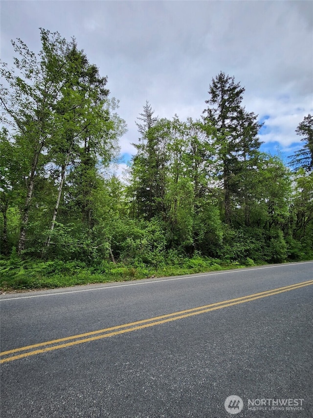 0 Henriot Rd, Toledo, WA 98591 - photo 1