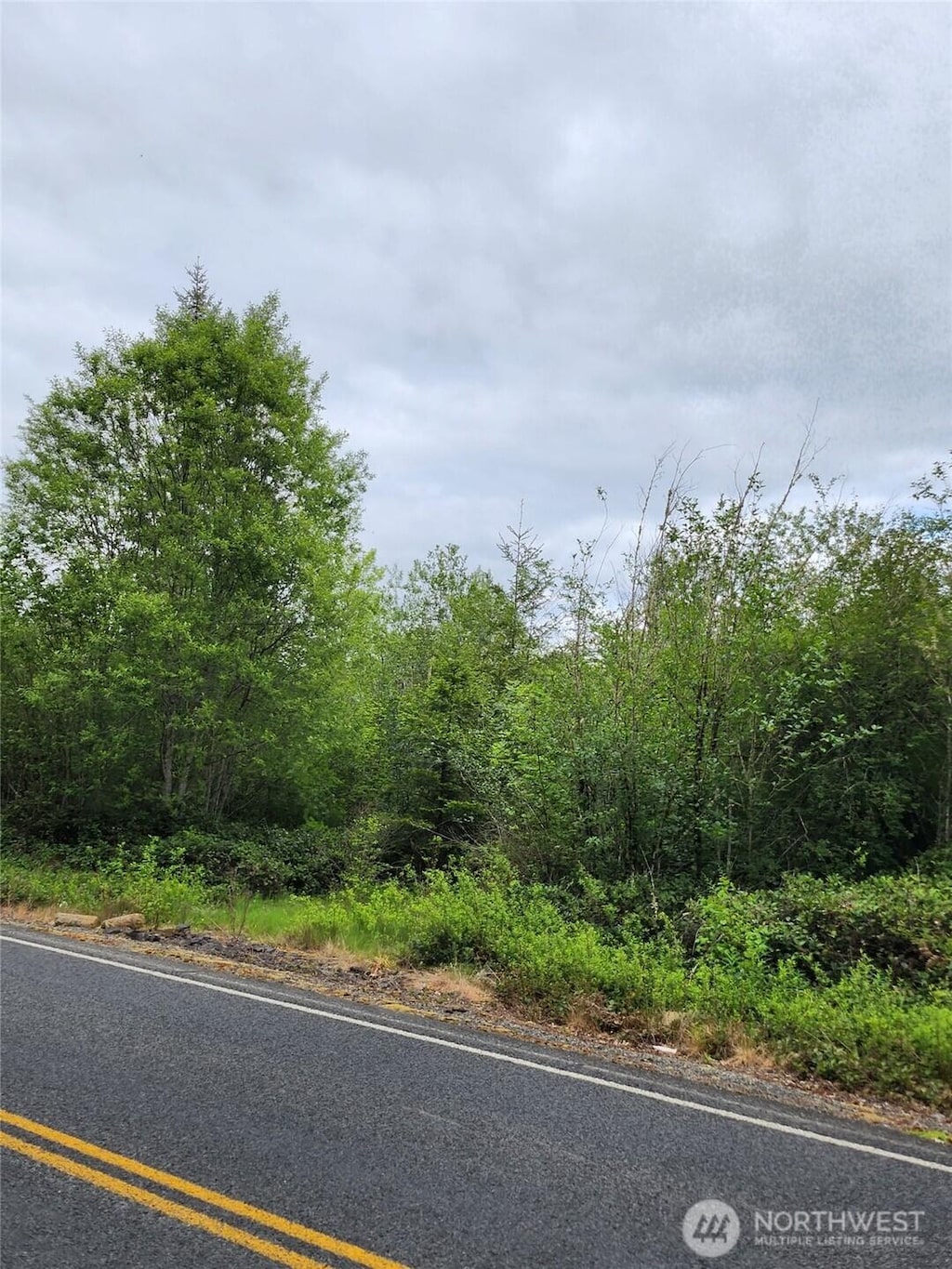 0 Henriot Rd, Toledo, WA 98591 - photo 2