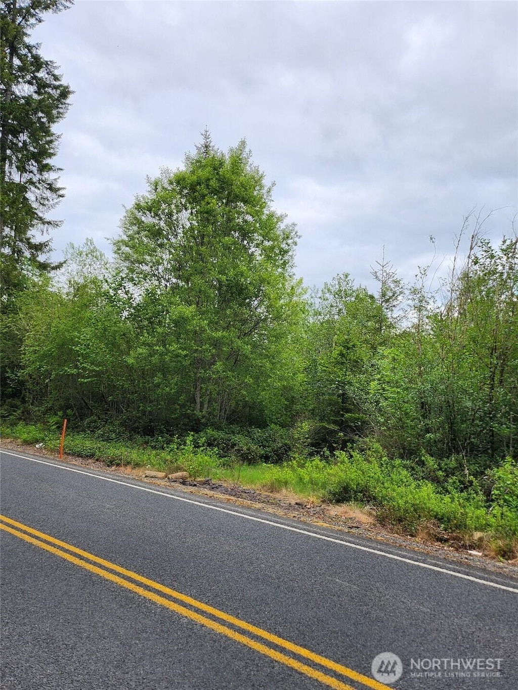 0 Henriot Rd, Toledo, WA 98591 - photo 3