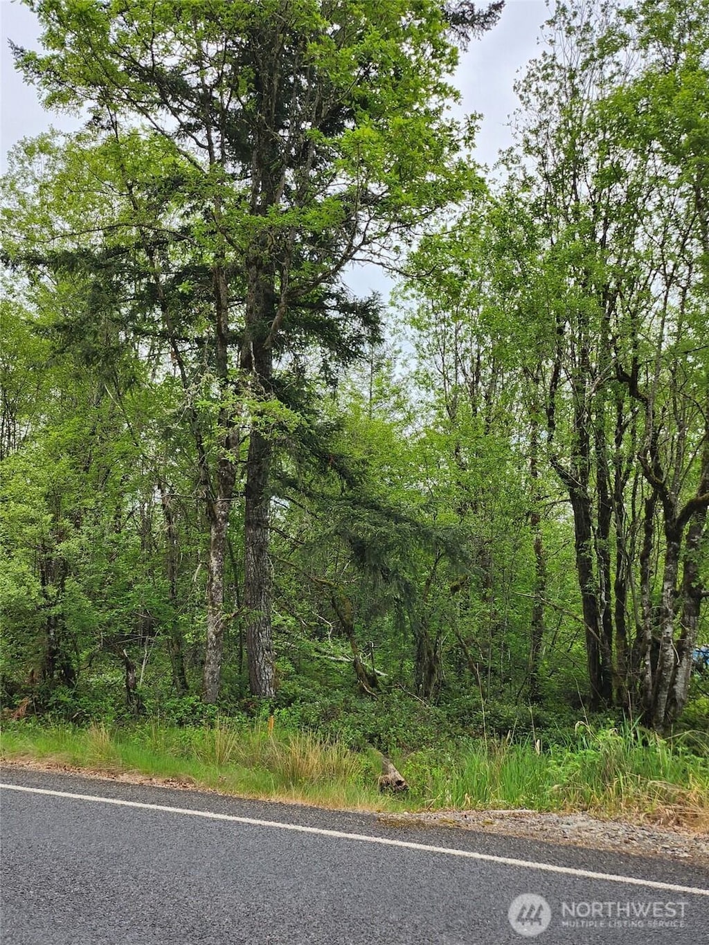 0 Henriot Rd, Toledo, WA 98591 - photo 4