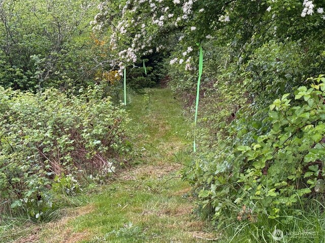 0 S Scheuber Rd, Chehalis, WA 98532