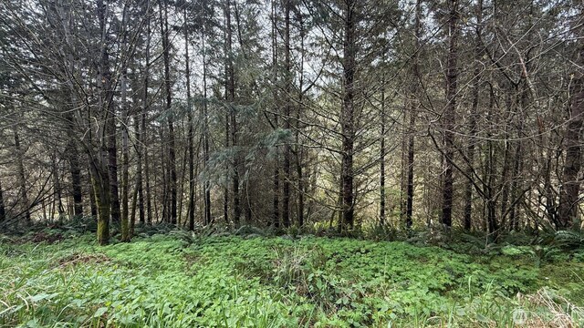 0 S Scheuber Rd, Chehalis, WA 98532