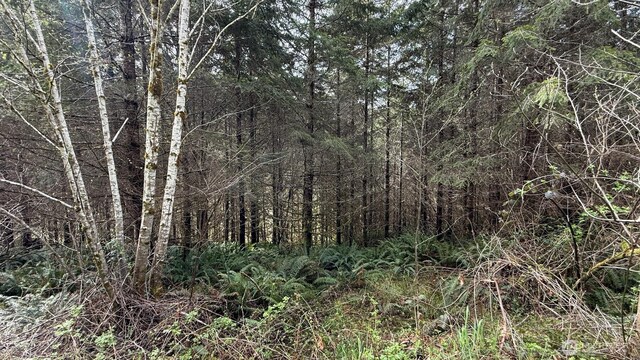 0 S Scheuber Rd, Chehalis, WA 98532