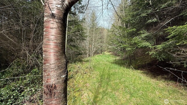 0 S Scheuber Rd, Chehalis, WA 98532
