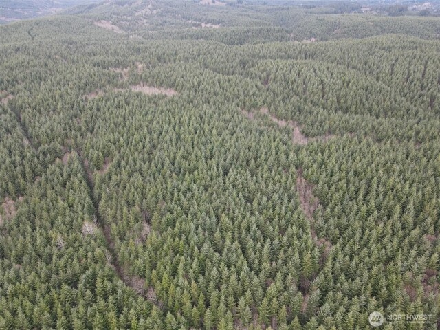 0 S Scheuber Rd, Chehalis, WA 98532