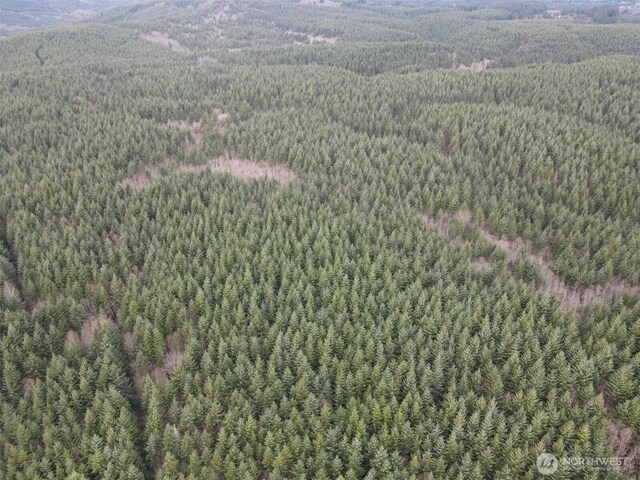 0 S Scheuber Rd, Chehalis, WA 98532