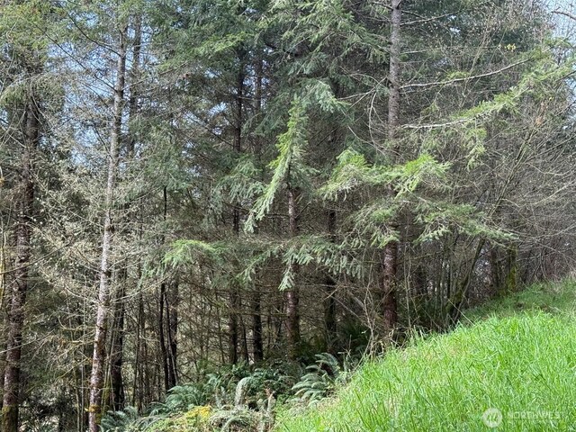 0 S Scheuber Rd, Chehalis, WA 98532