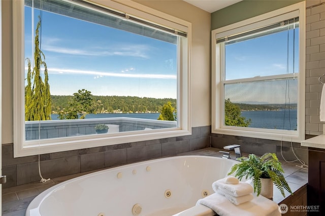 12045 Lakeside Pl NE, Seattle, WA 98125 - bathroom with plenty of natural light and a tub with jets