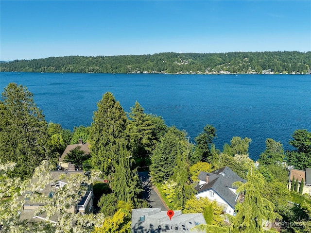 12045 Lakeside Pl NE, Seattle, WA 98125 - bird's eye view of a heavily wooded area and a large body of water