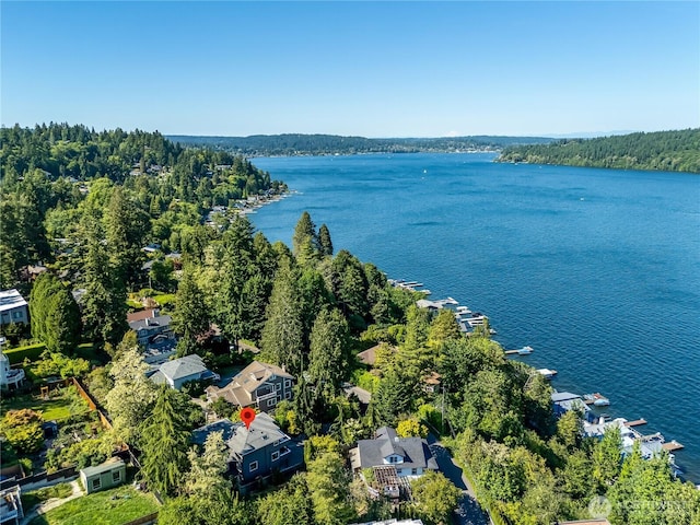 12045 Lakeside Pl NE, Seattle, WA 98125 - bird's eye view of a large body of water and a heavily wooded area