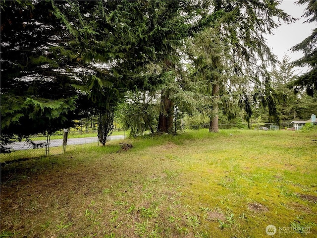 15712 123rd Ave SE, Yelm, WA 98597 - view of yard featuring fence