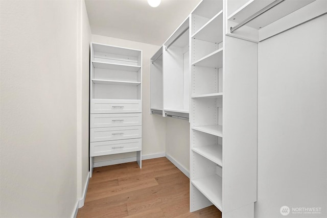 4964 Lewis Ave, Bellingham, WA 98229 - spacious closet featuring light wood-style flooring