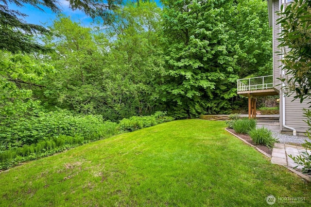 4964 Lewis Ave, Bellingham, WA 98229 - view of grassy yard