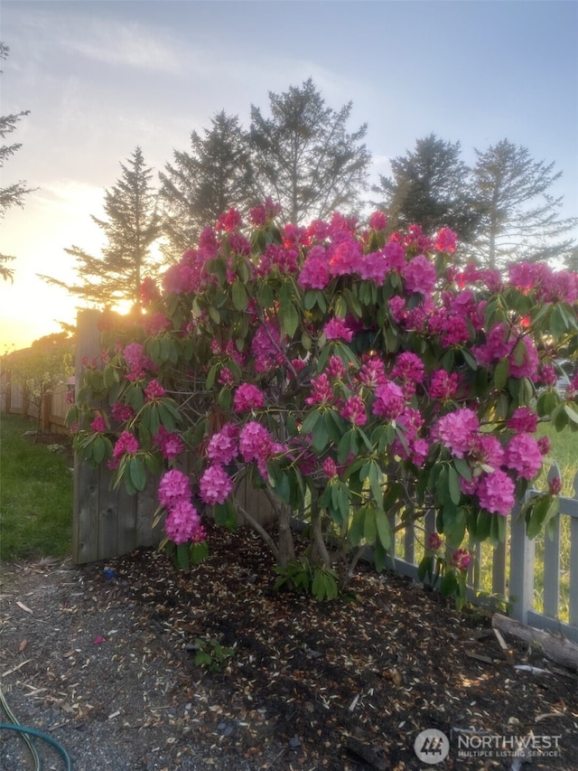 2615 Sea Crest Ave N, Long Beach, WA 98631 - exterior view