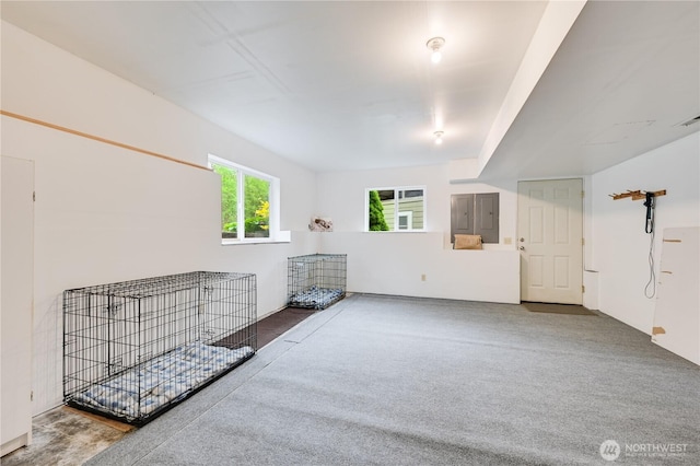 carpeted empty room featuring electric panel