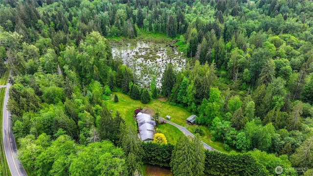 drone / aerial view of a forest and a large body of water
