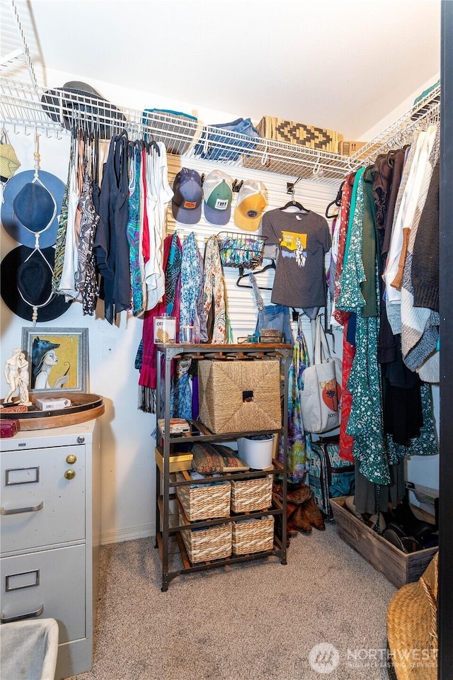 42520 State Route 2, Gold Bar, WA 98251 - walk in closet featuring carpet
