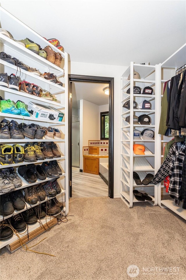42520 State Route 2, Gold Bar, WA 98251 - spacious closet with carpet floors