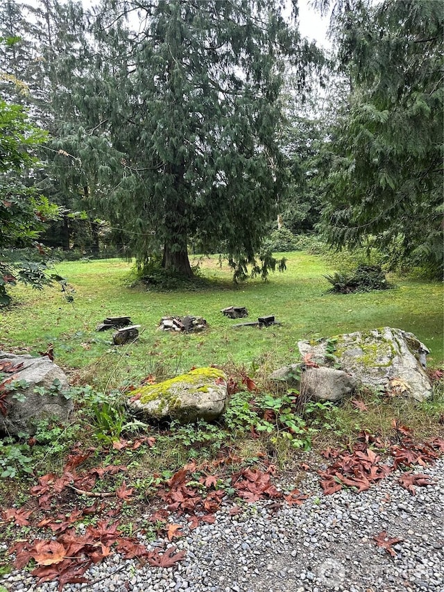 42520 State Route 2, Gold Bar, WA 98251 - view of yard