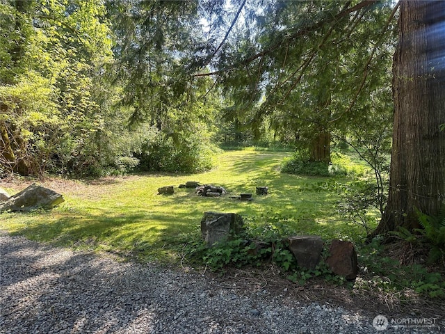 42520 State Route 2, Gold Bar, WA 98251 - view of green lawn featuring a wooded view