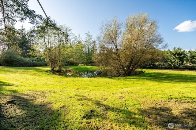 1881 Cattle Point Rd, Friday Harbor, WA 98250 - photo 26