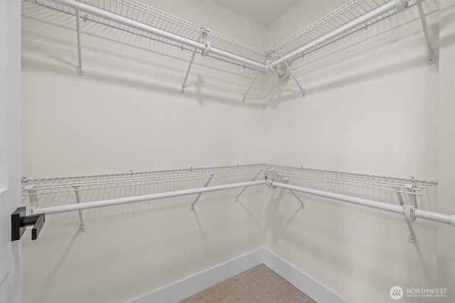 2711 10th Ave W, Seattle, WA 98119 - walk in closet with carpet floors