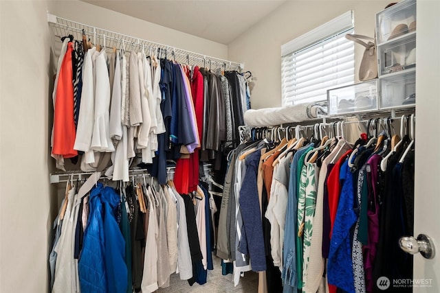 4914 Bering St, Gig Harbor, WA 98332 - walk in closet with carpet flooring