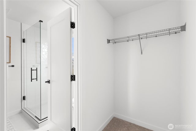 1521 N 39th St, Seattle, WA 98103 - view of spacious closet