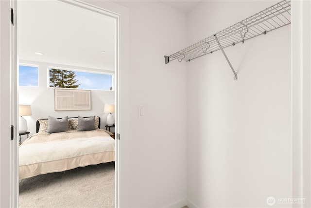 1521 N 39th St, Seattle, WA 98103 - walk in closet with carpet